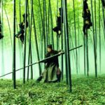 Bambusy w filmie – Dom latających sztyletów