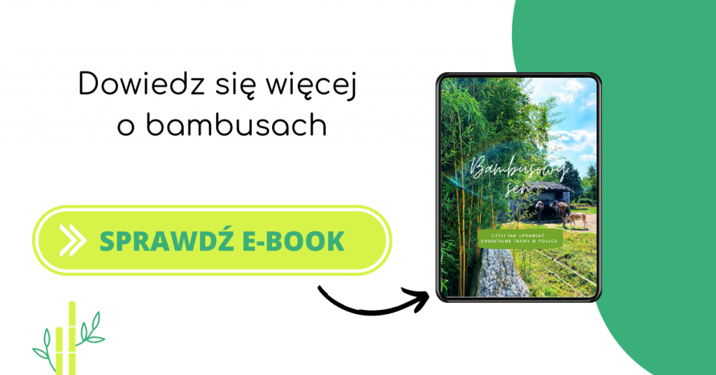 e-book o bambusach