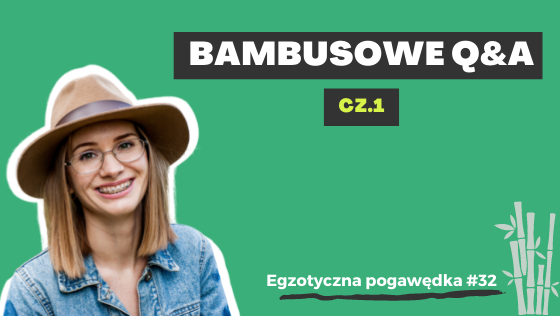 Bambusowe Q&A cz. 1 | Egzotyczna Pogawędka #32