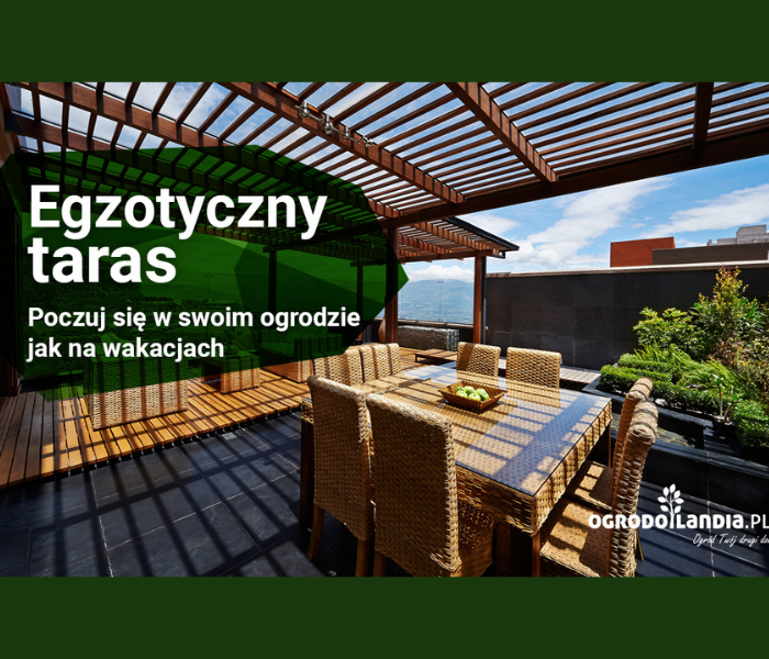 Jak urządzić egzotyczny ogród? | wpis gościnny Ogrodolandia.pl
