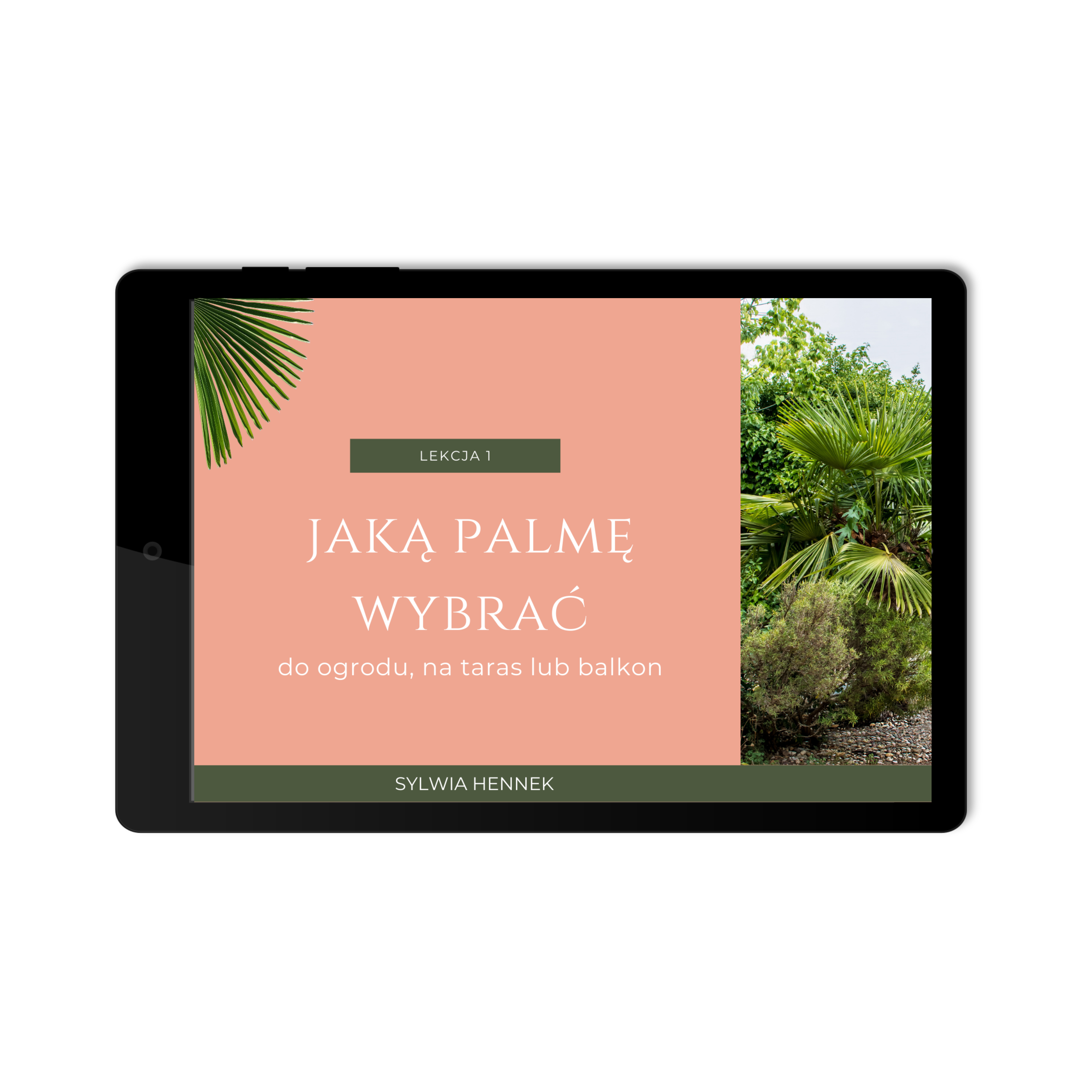 Start z palmą mrozoodporną w 3 prostych krokach (3 webinary) - obrazek 5