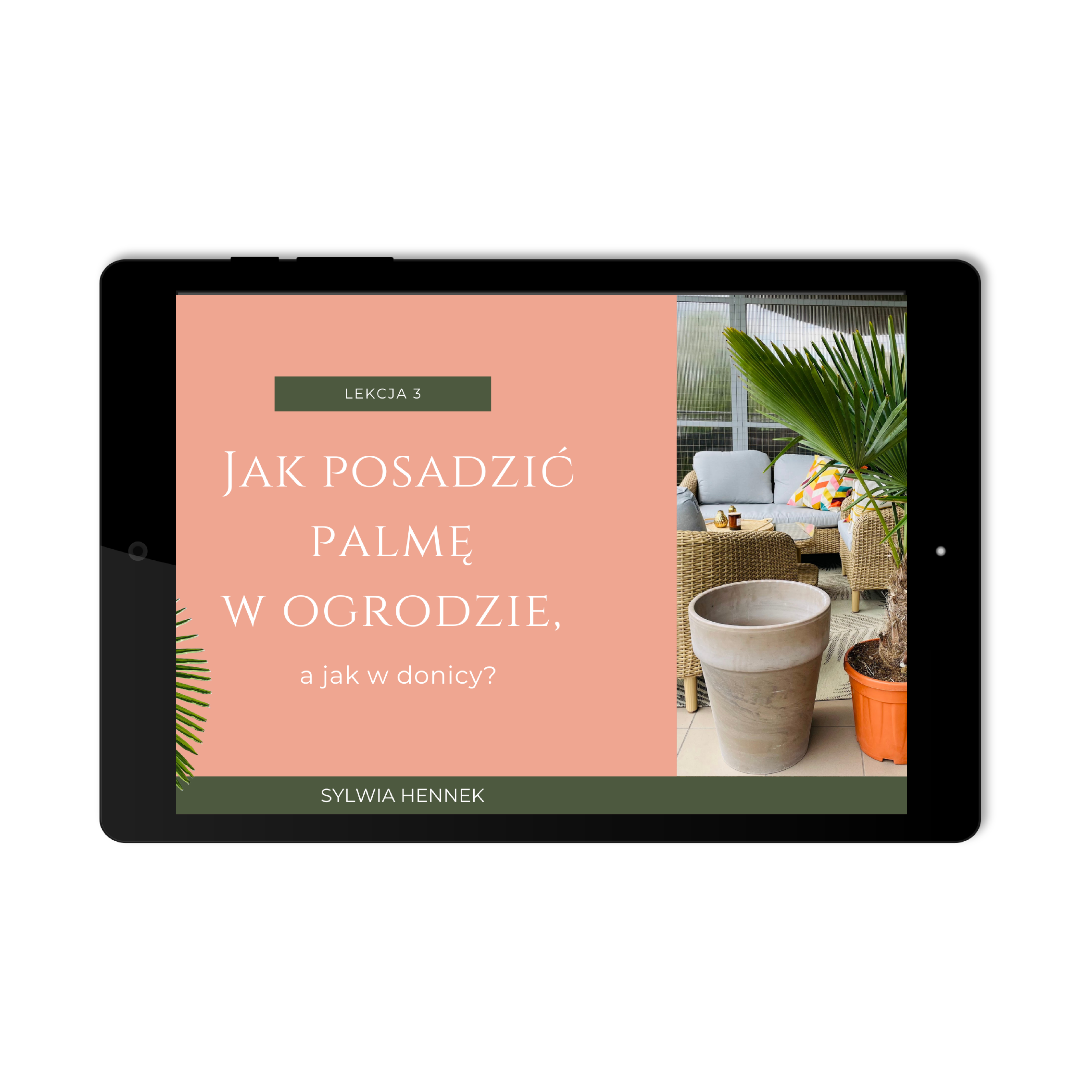 Start z palmą mrozoodporną w 3 prostych krokach (3 webinary) - obrazek 3