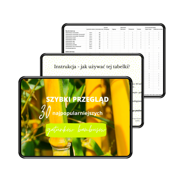 Zestaw dla projektantów 4 w 1: ebook o bambusach, tabela wyboru, webinar o zimowaniu + kalendarz prac - obrazek 11