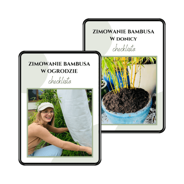 Zestaw dla projektantów 4 w 1: ebook o bambusach, tabela wyboru, webinar o zimowaniu + kalendarz prac - obrazek 10